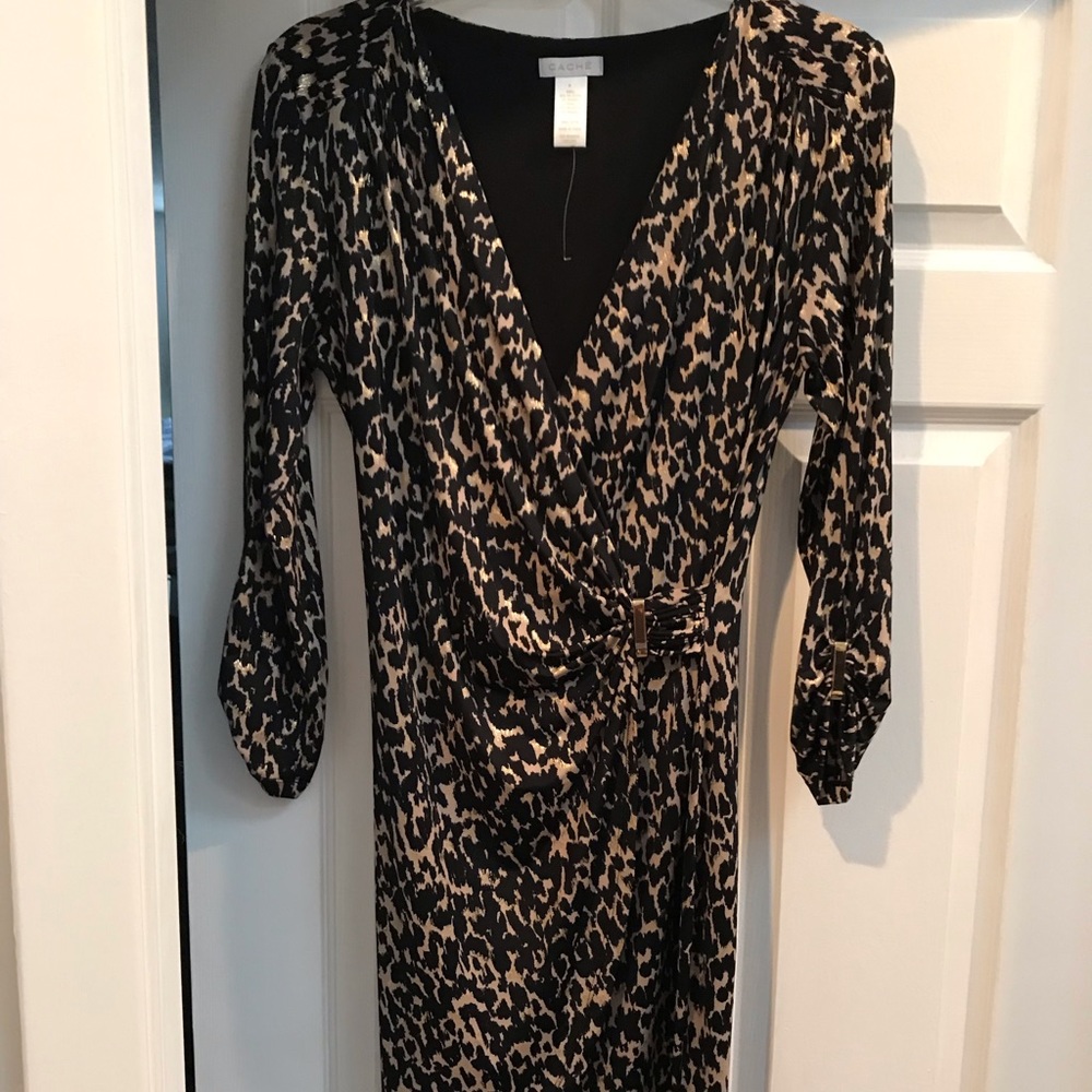 Shimmery Leopard dress